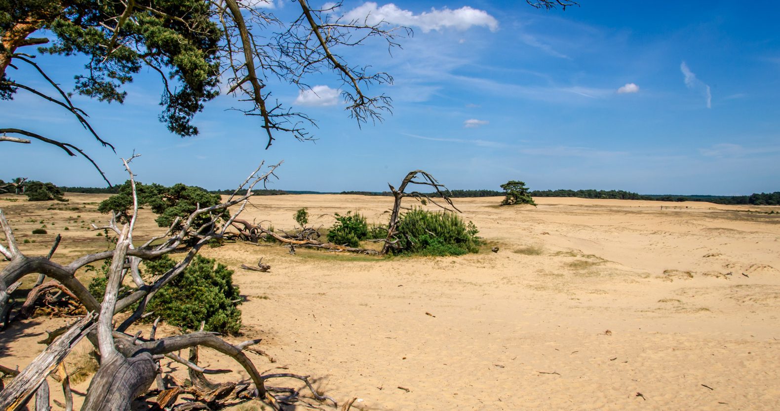 Things to do in The Netherlands - Park De Hoge Veluwe