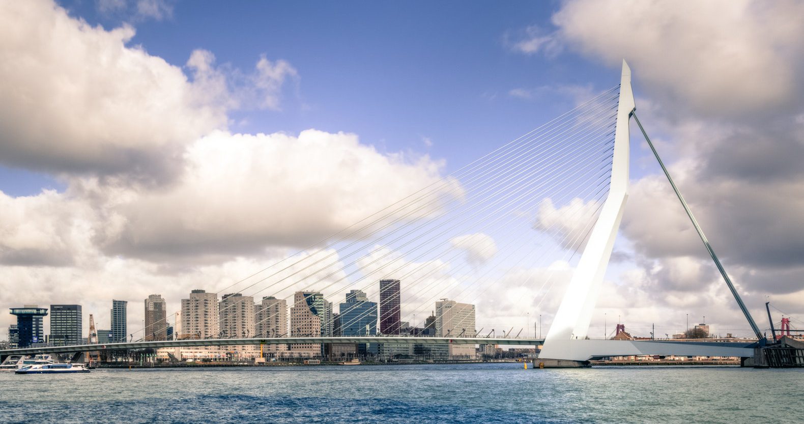 Things to do in The Netherlands - Rotterdam Erasmus Bridge