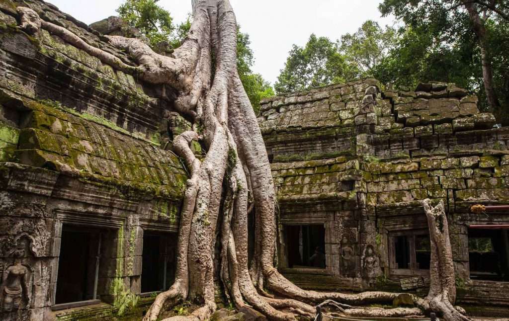 Angkor Wat - we expect this to be one of the highlights of our round the world trip!