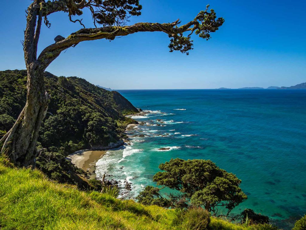 View from the Mangawhai Cliff Top Walk in Northland, New Zealand