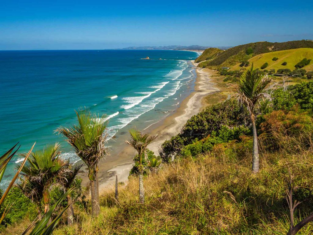 New Zealand photo: Mangawhai Cliffs Walkway View