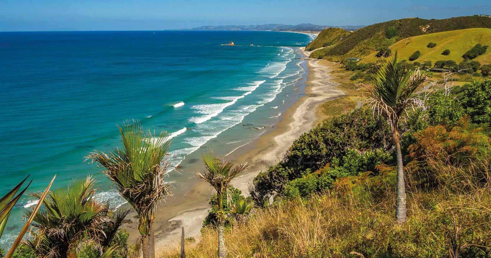 A roadtrip through Northland: our 5 day itinerary