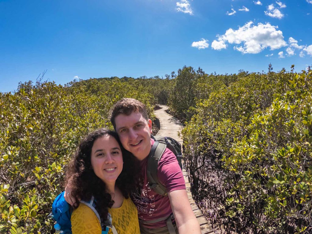 The Haruru Falls Walk takes you through a lovely patch of mangrove forest. One of the hikes we did on the North Island of New Zealand.