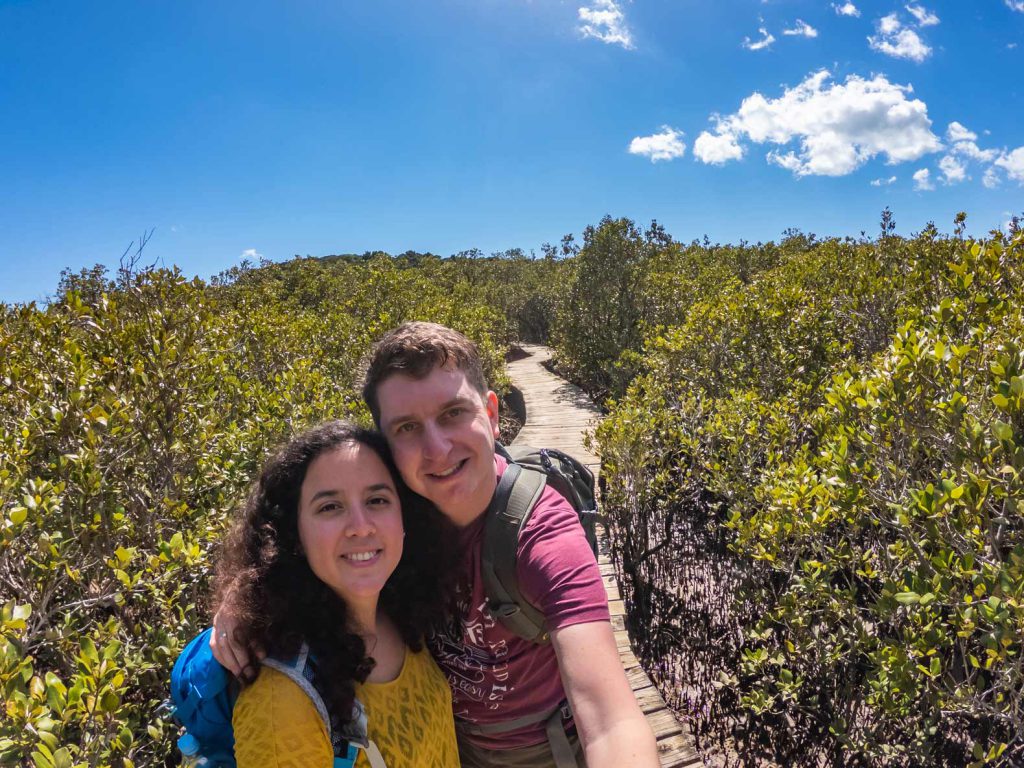 The Haruru Falls Walk takes you through a lovely patch of mangrove forest. One of the activities on our roadtrip of Northland, New Zealand.