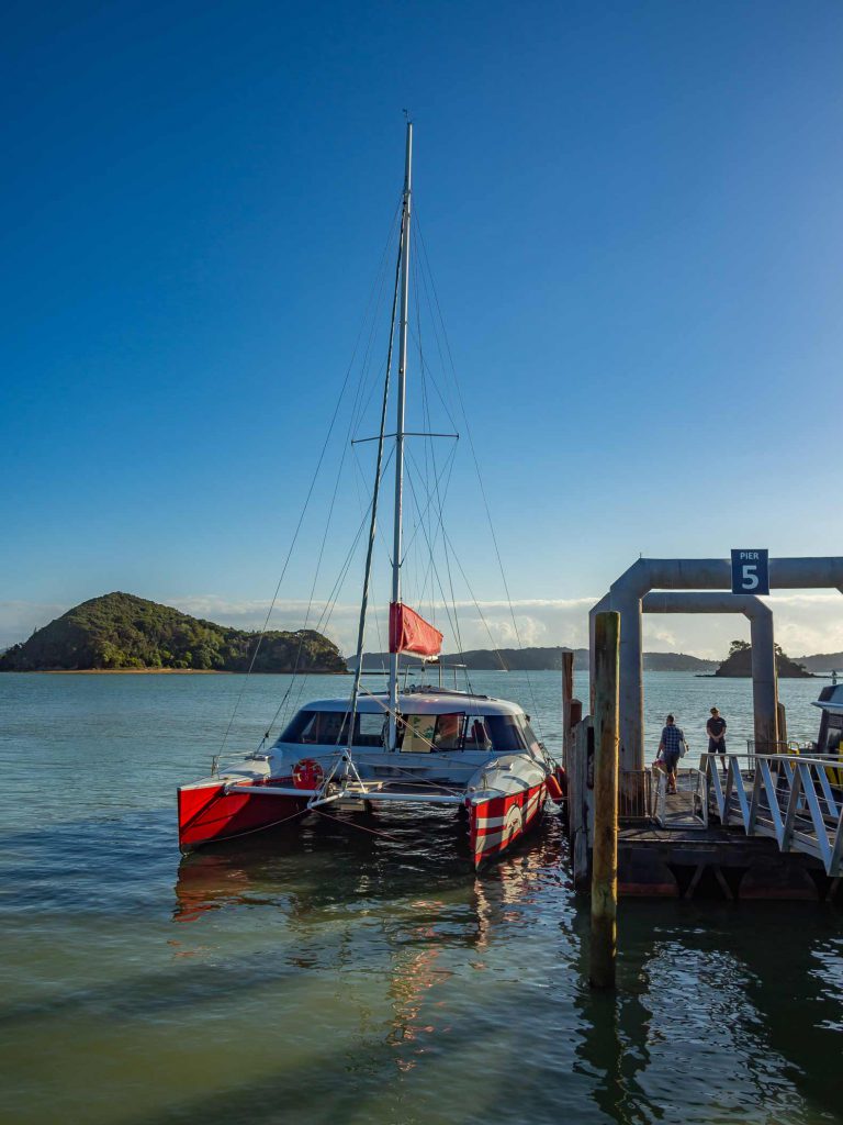 The catamaran of Carino Sailing & Dolphins