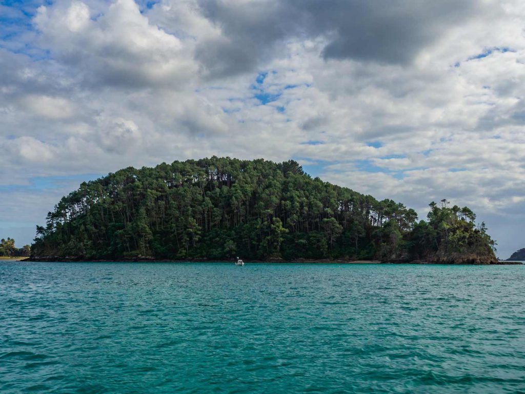 One of the many islands in the Bay of Islands