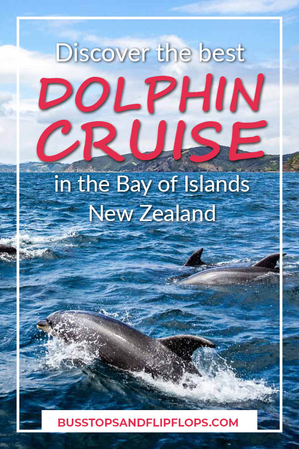 We had an awesome Bay of Islands dolphin cruise in New Zealand. On a beautiful catamaran we set out on the seas to spot bottlenose dolphins. Read all about our adventure! 