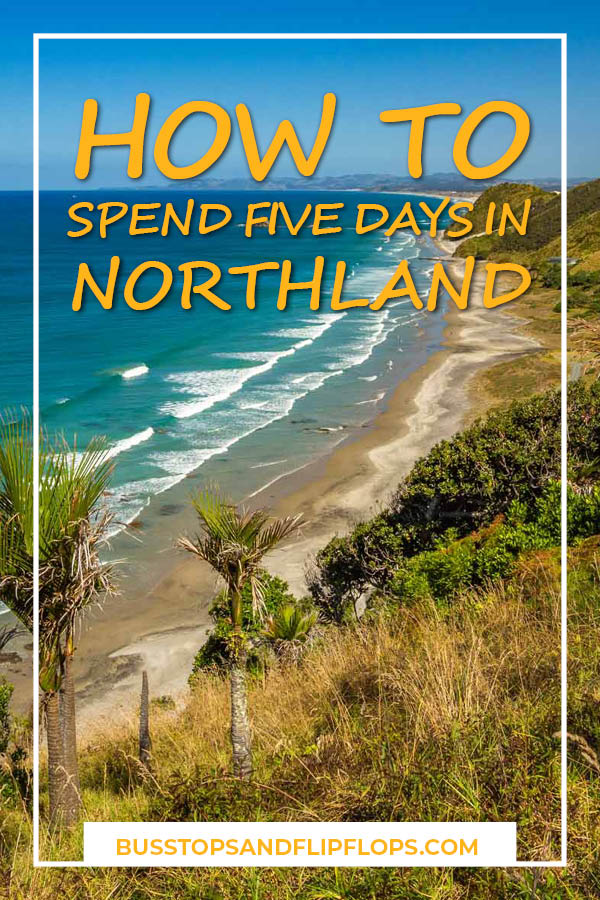 Northland is best known for the Bay of Island, a popular tourist destination. But what else can you do there? Our 5 day itinerary takes you on a roadtrip of the entire peninsula over cliff tops, through kauri forests and to beachside towns.