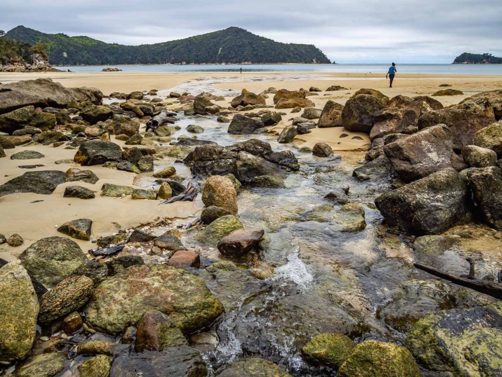 Picture of New Zealand: Beach at Abel Tasman Coast Track.