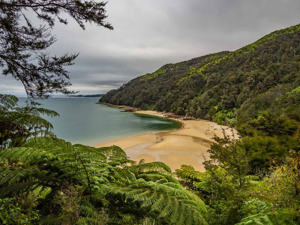 New Zealand South Island Hikes: Abel Tasman Coast Track