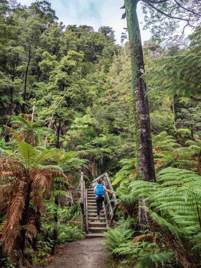 Abel Tasman Coast Track, New Zealand South Island Hike