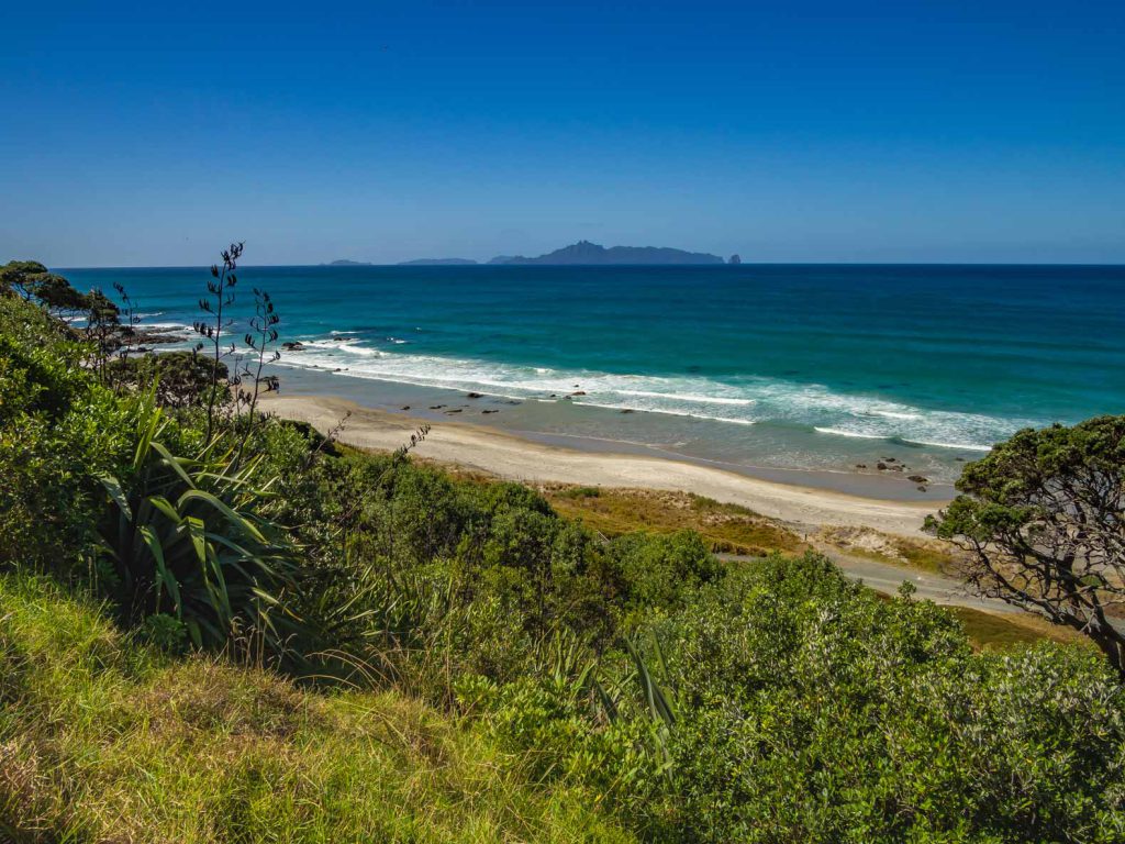 Mangawhai Cliffs Walkway - North Island hike