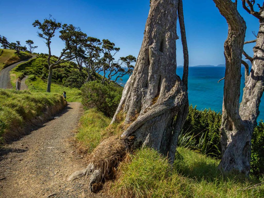 Manghawai Clifftop Walk New Zealand