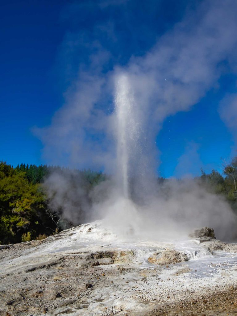 Geyser at a Rotorua Geothermal Park