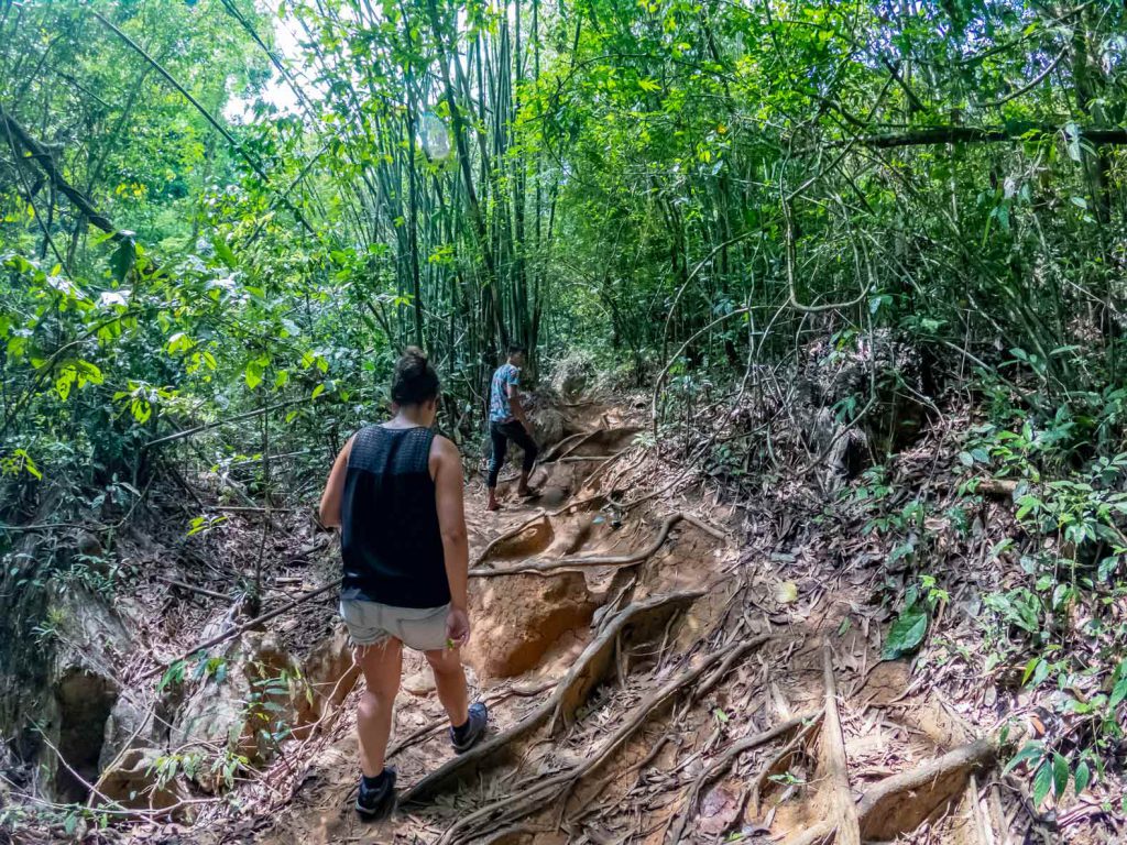 Jungle Trekking in Khao Sok National Park
