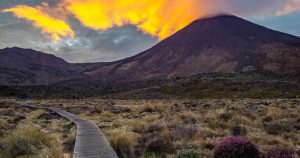 6 Amazing New Zealand North Island Hikes