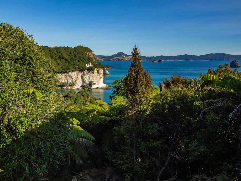 View during the hike to Cathedral Cove in New Zealand