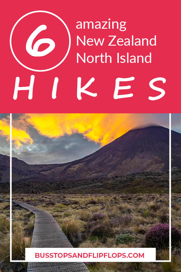 Hiking in New Zealand is not limited to the South Island! There are also many beautiful North Island hikes! Go check out our 6 recommendations and select your favorite.