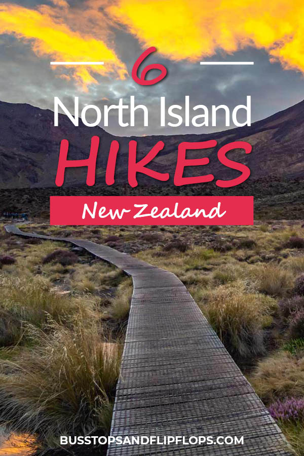 We've selected our 6 favorite New Zealand North Island hikes to show you its awesomeness and diversity. There's a hike  for everyone; even non-hikers!