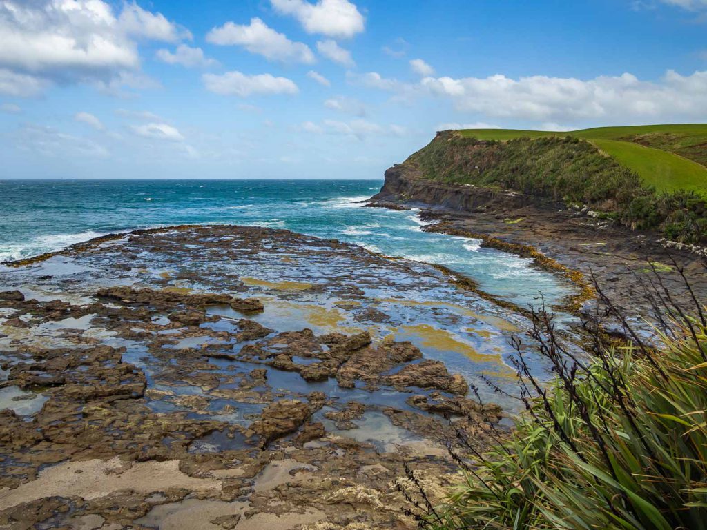 The petrified forest in Curio Bay in The Catlins, New Zealand.