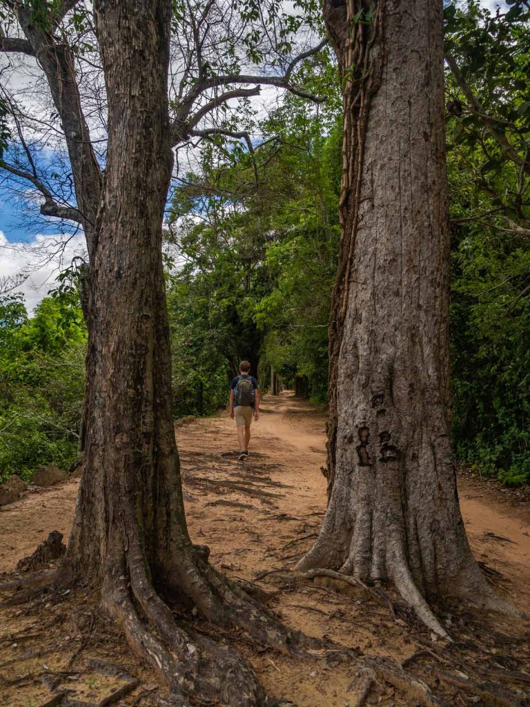 Angkor Thom Wall