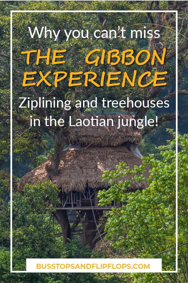 You don't want to miss The Gibbon Experience when you're visiting Laos! Find out all about how we spent three days in the jungle of Laos ziplining, trekking and sleeping in treehouses.