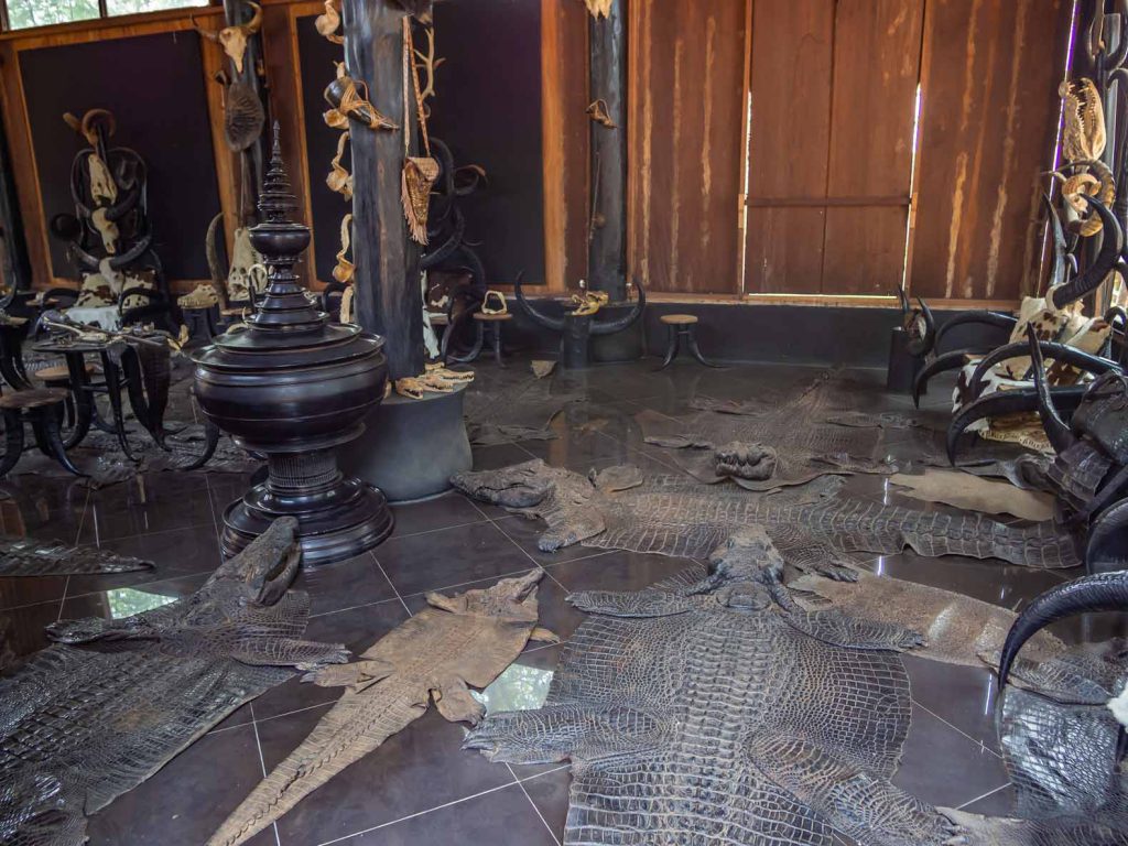 Dead animals at the Black House in Chiang Rai