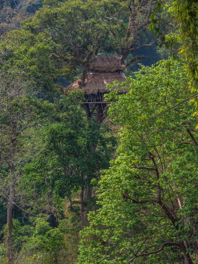 Treehouse at the Gibbon Experience