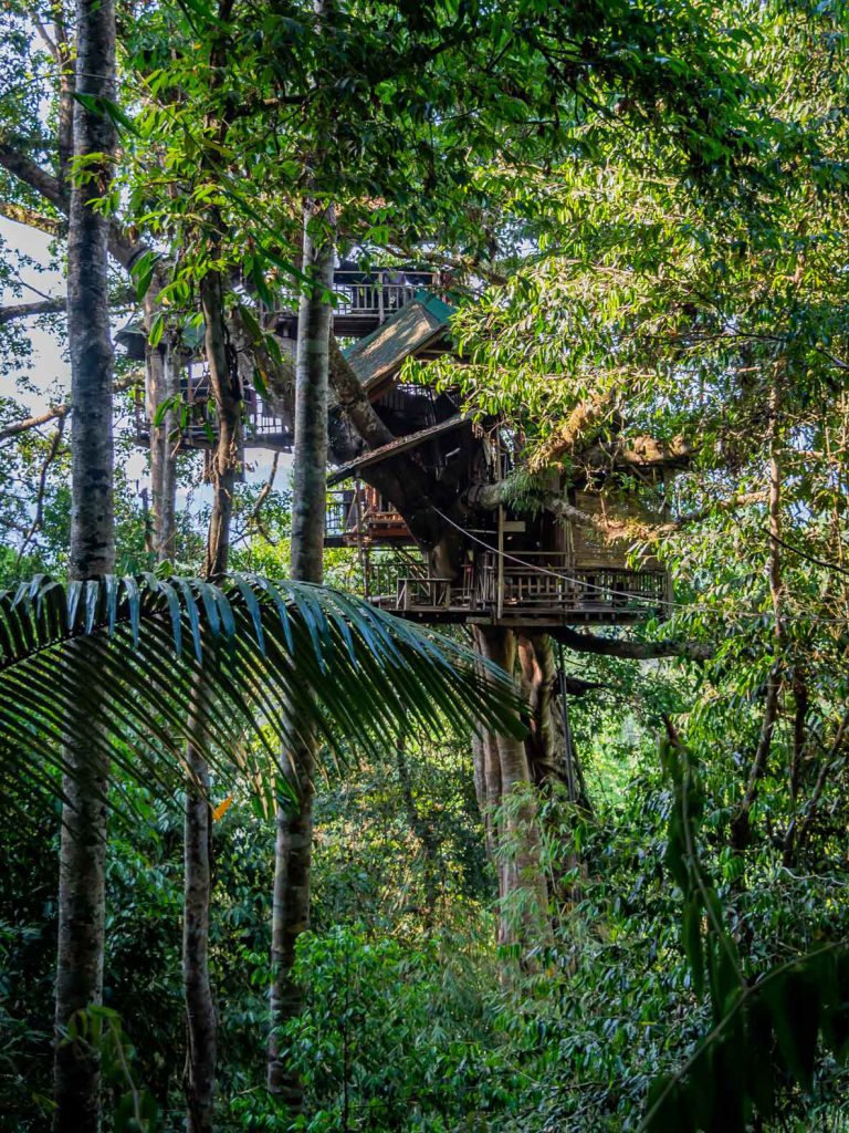 Treehouse 1 - Gibbon Experience