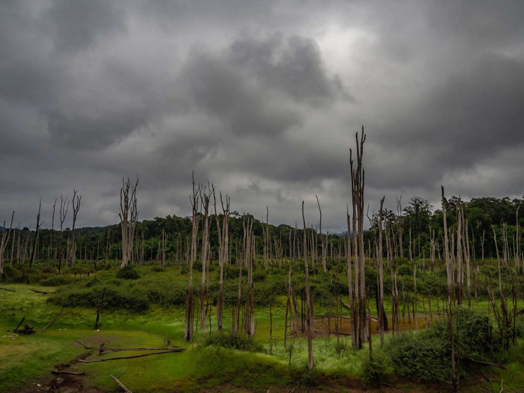 Dead tree views on the Thakhek loop