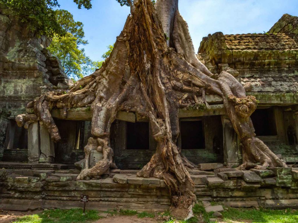 Preah Khan Temple 3