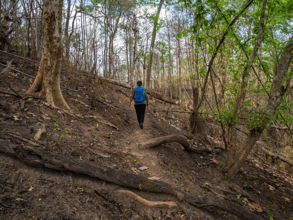 Walking through Salawin National Park on the Mae Hong Son loop