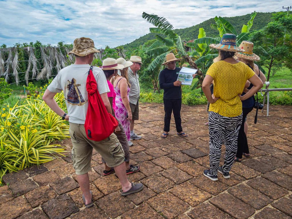 Visit a Kampot pepper plantation