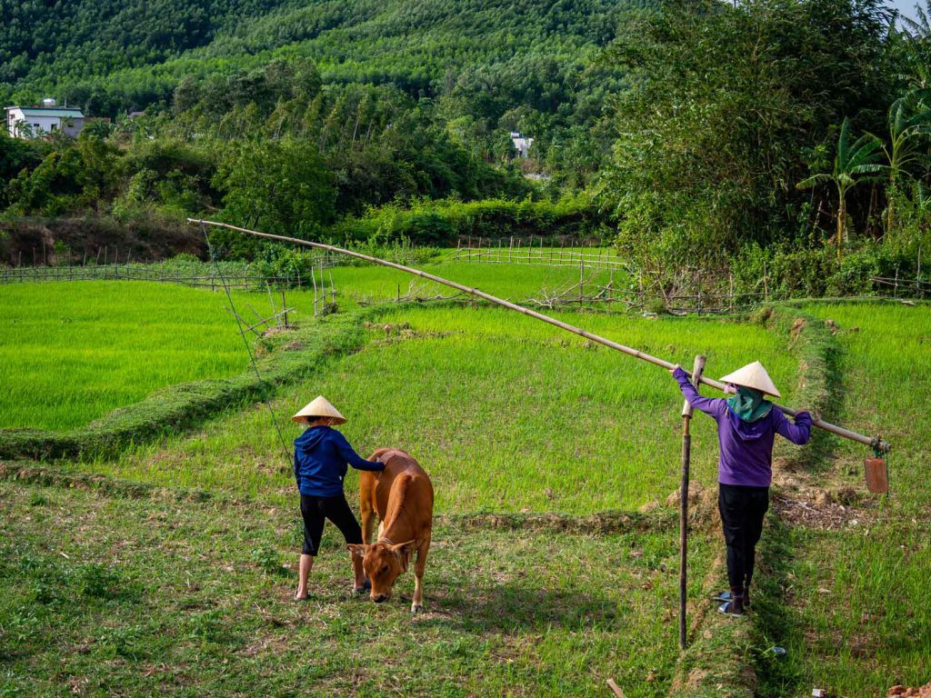 Villagers at work in Bong Lai Valley