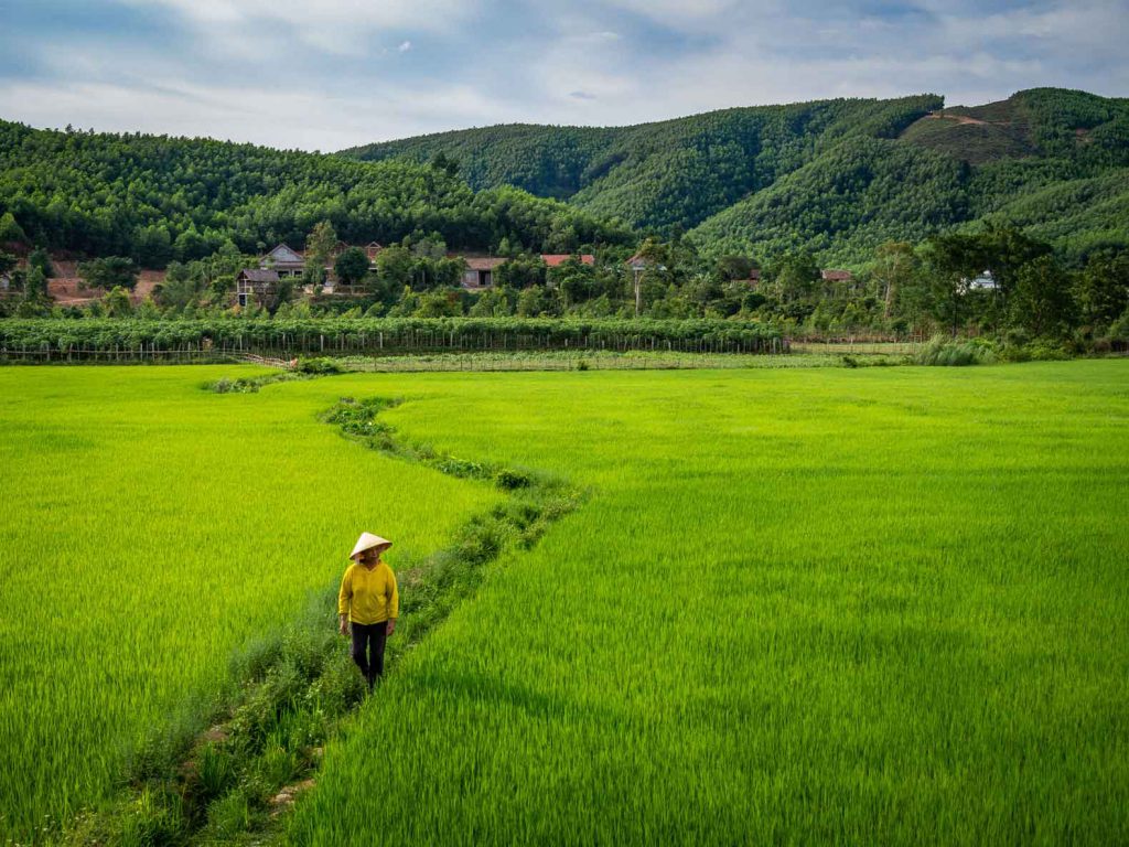 We didn't expect to find these gorgeous rice fields in Bong Lai valley!