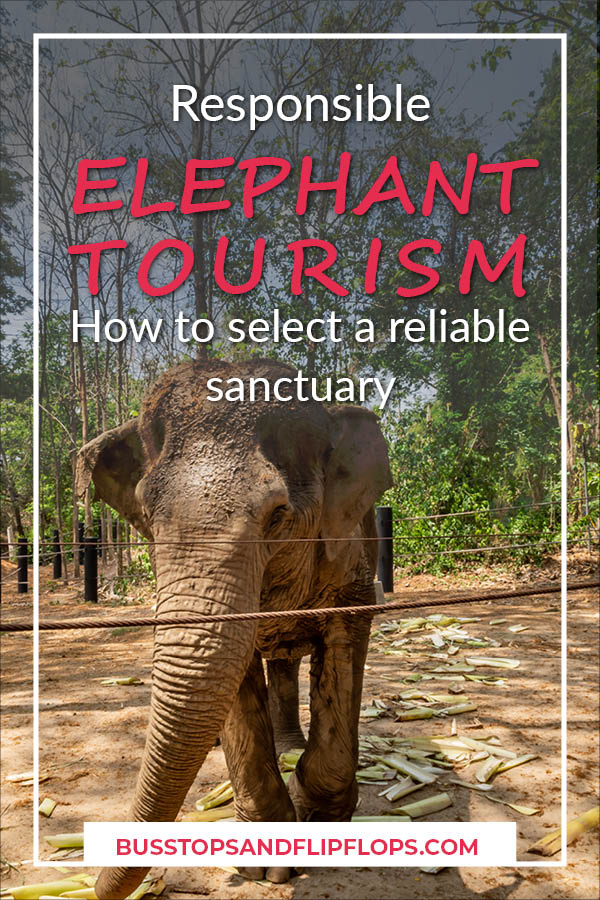 We visited a super awesome elephant sanctuary in Thailand. There are a lot of them and many are a bit shady. Make sure you practice responsible elephant tourism! Read all about our experience and tips on how to select one yourself!