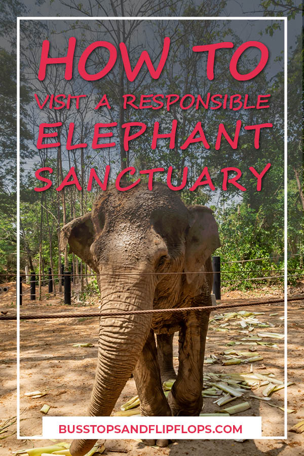 If you're going to Thailand you are bound to encounter captive elephants. Many of them are maltreated just to make a quick buck off of tourism. How do you pick a responsible elephant experience, without contributing to malpractices? Read our blogpost on tips on how to select a responsible elephant sanctuary in Thailand and the experience we had!