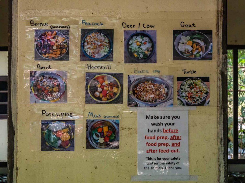 Animal diets at the WFFT shelter in Hua Hin Thailand