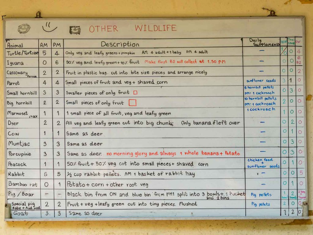 Daily diets of the rescued animals at the WFFT center in Thailand