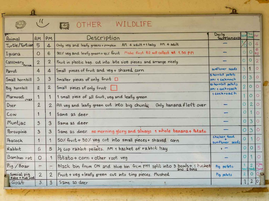 Daily diets of the rescued animals at the WFFT center in Thailand