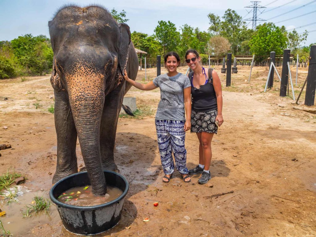 Posing with an elephant