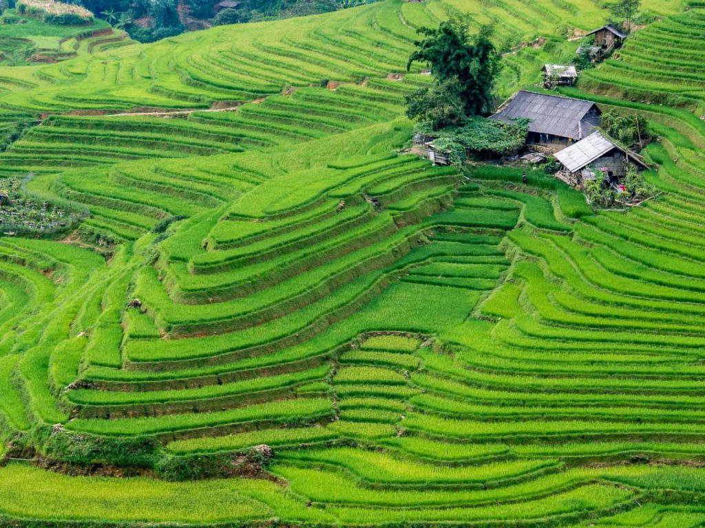 First view of the rice fields on our two day trekking in Sapa