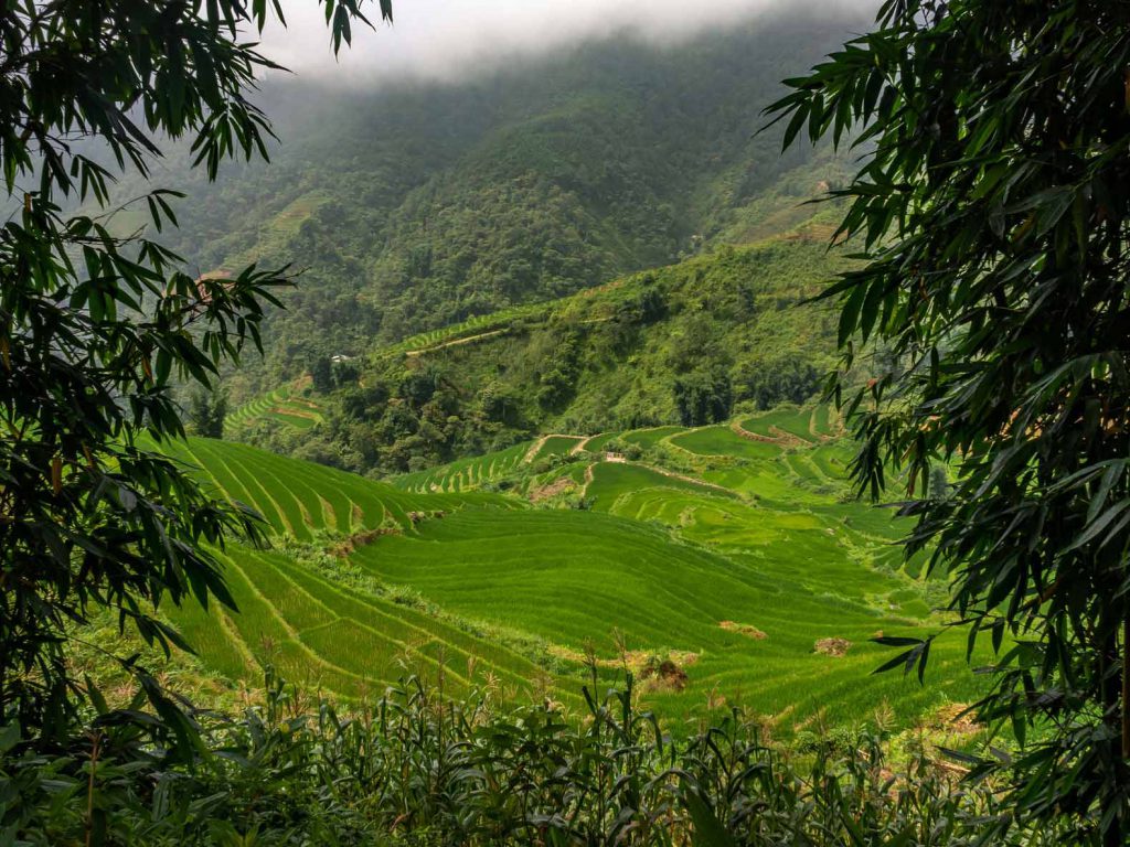 Views on our 2 day trekking in Sapa