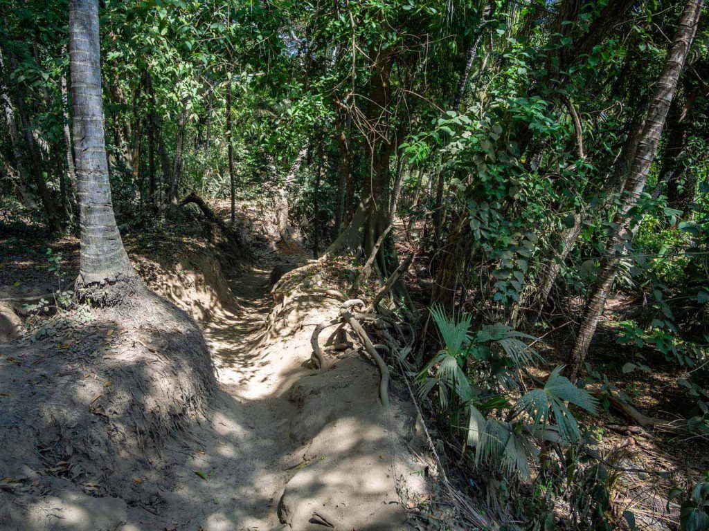 Tayrona National Park Hike