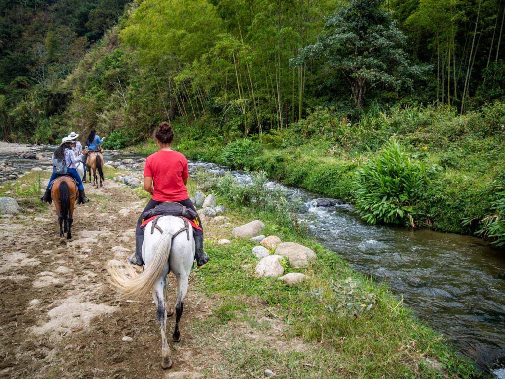 Horse Riding Salento - River ride