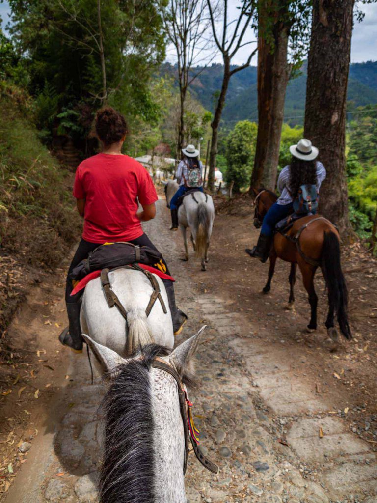 Horse Riding Salento with Cabalgatas San Pablo