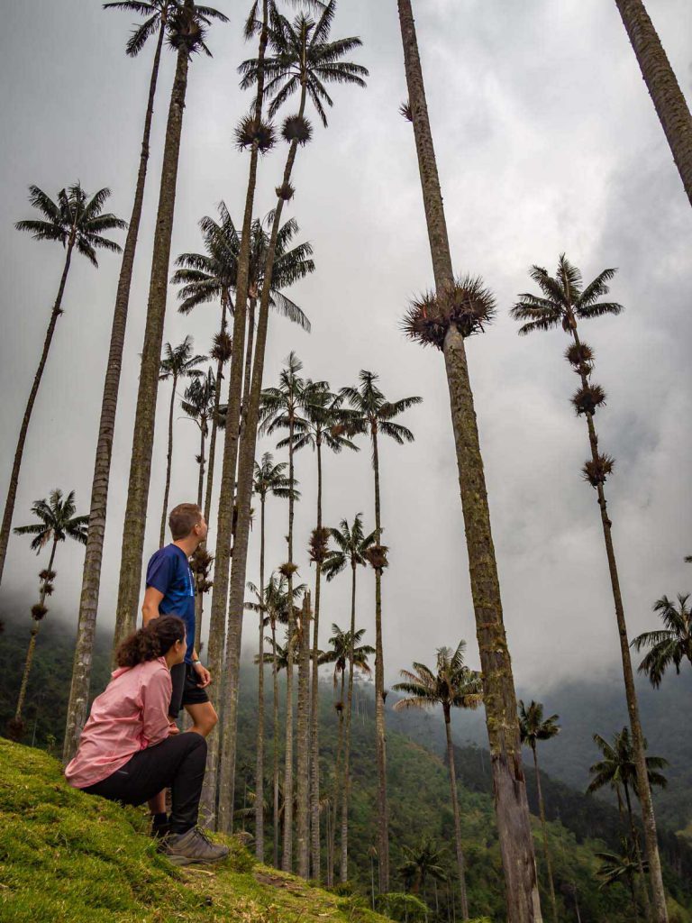 Valle de Cocora - Most popular Salento Activities