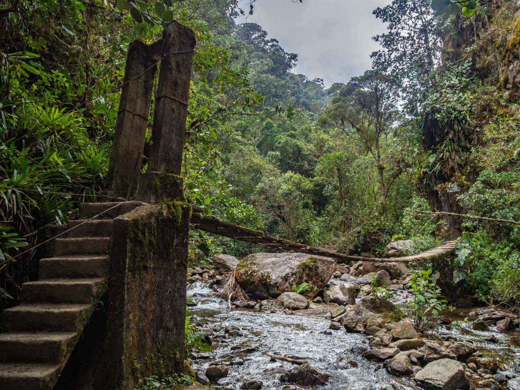 Hike Valle De Cocora Big Loop